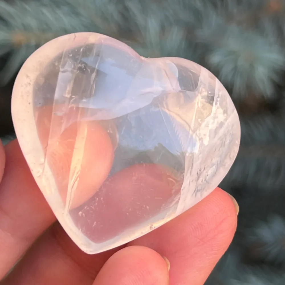 Coeur Perle Tournesol Modèle 8