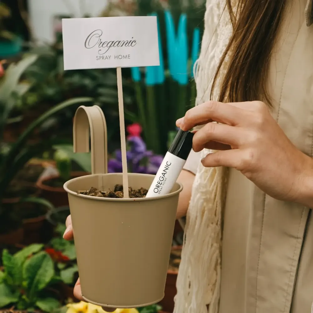 Coffret de Miniatures Maison Garden Collection