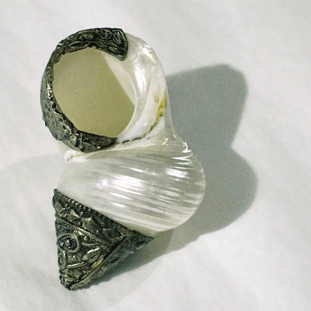 no. 35 - le coquillage collection