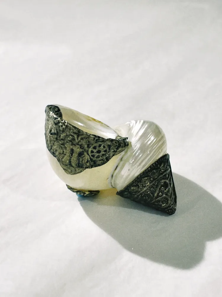 no. 35 - le coquillage collection