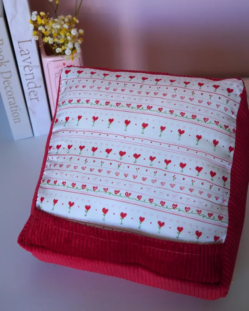 Coussin pour liseuse love