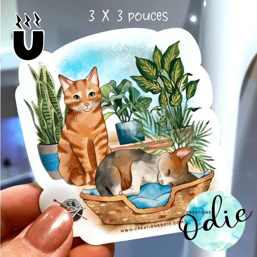 Aimant des chatons Créations Odie