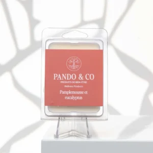 CUBES DE CIRE | PAMPLEMOUSSE & EUCALYPTUS
