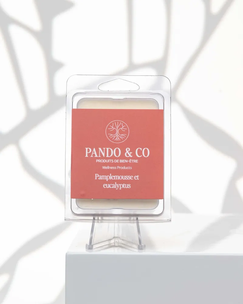CUBES DE CIRE | PAMPLEMOUSSE & EUCALYPTUS