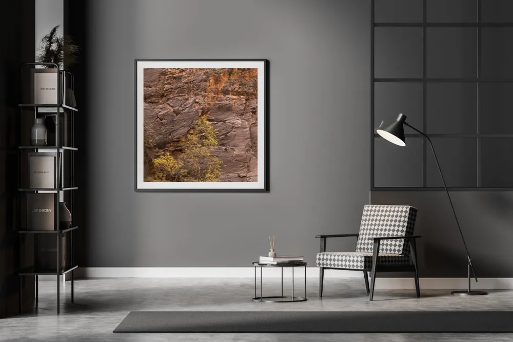 Arbre aux feuilles jaunes contre le mur du Canyon Zion | Édition limitée à 10 Dan Kosmayer Photography