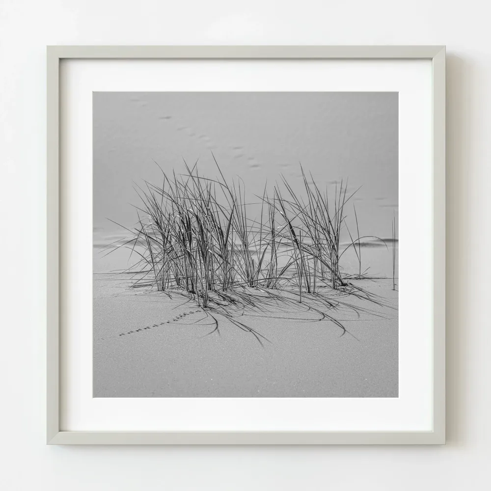 Beauté simple de l'herbe du désert de Gobi | Édition limitée à 10 Dan Kosmayer Photography