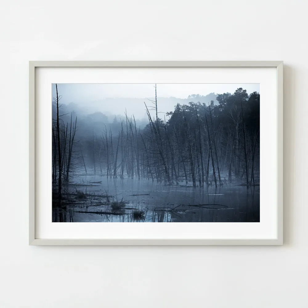 Brume matinale êt d'Haliburton | Édition limitée à 10 Dan Kosmayer Photography