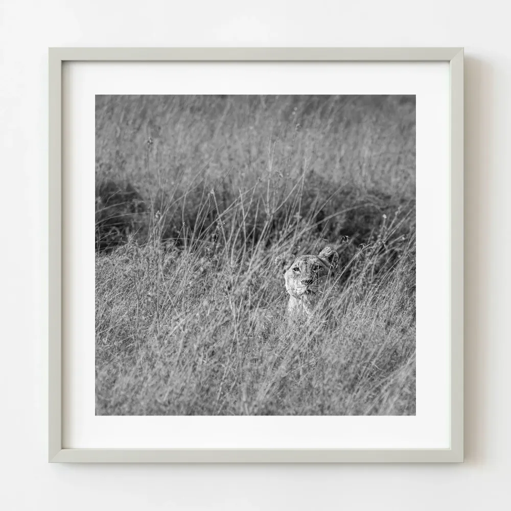 Modèle 1x1 Art mural | Édition limitée à 10 Dan Kosmayer Photography