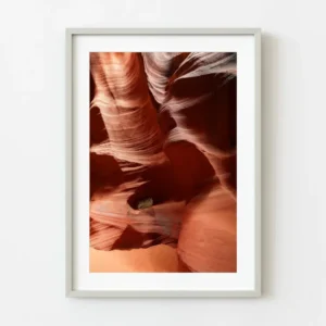 Mur vibrant d'Antelope Canyon et Lone Bush | Édition limitée à 10 Dan Kosmayer Photography