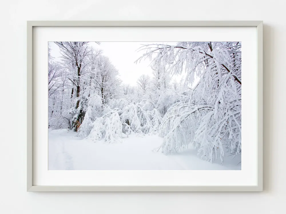 La neige envahit les arbres à Haliburton | Édition limitée à 10 Dan Kosmayer Photography