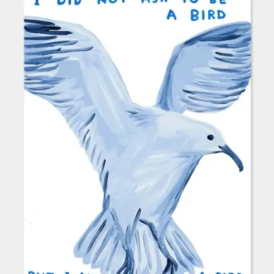 Affiche I Did Not Ask To Be Bird 60 x 80 cm D.Shrigley David Shrigley