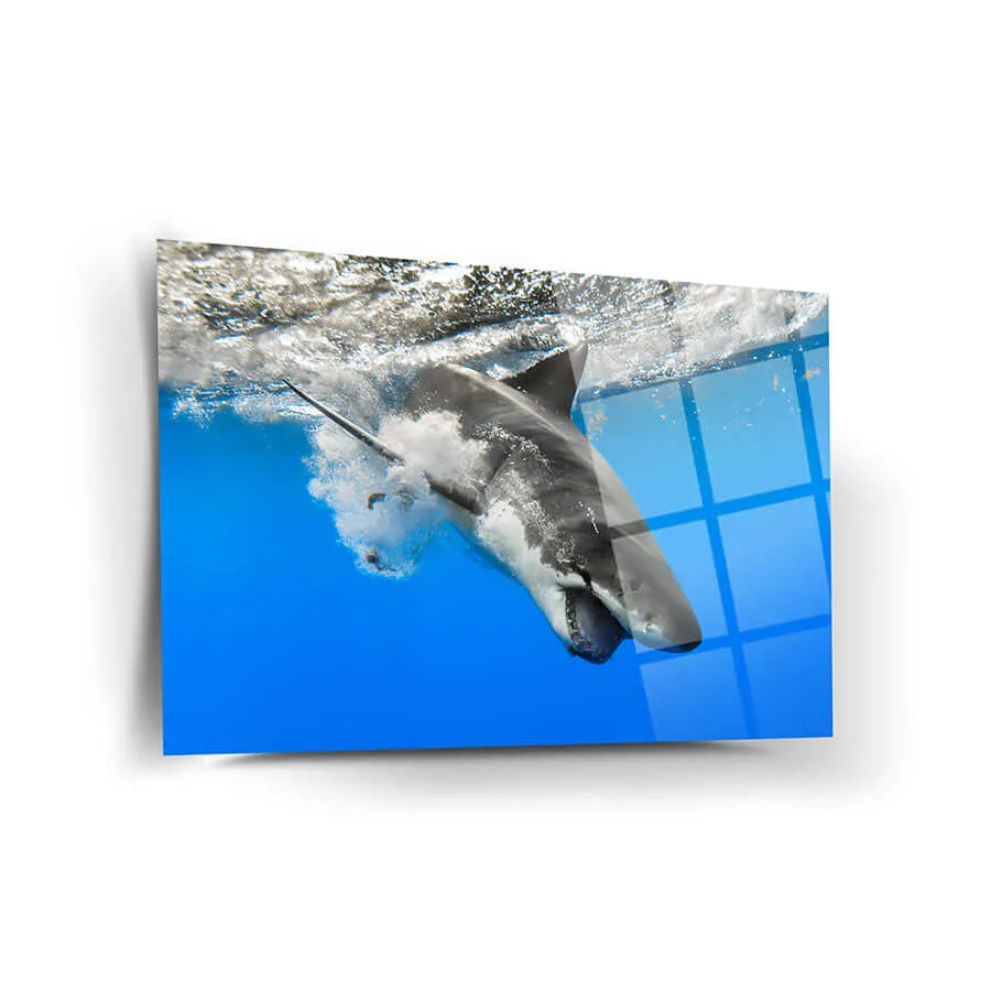 Décoration Murale Requin