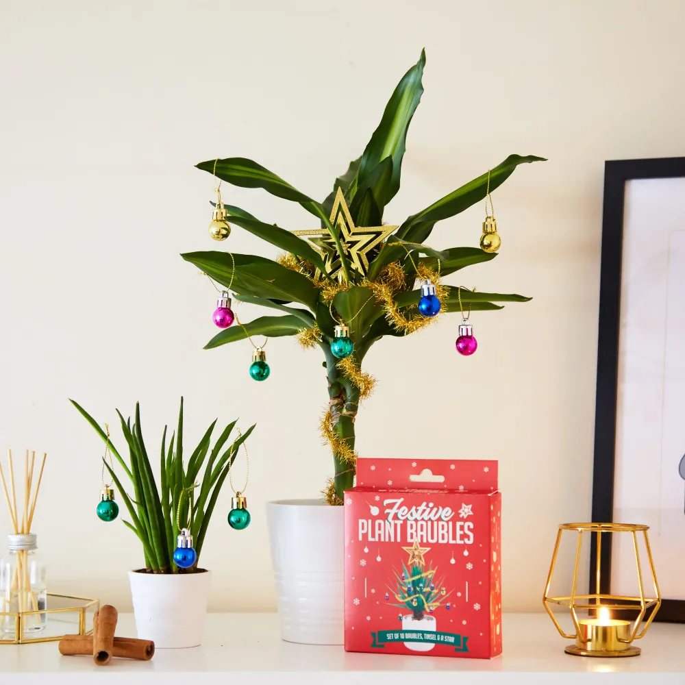 Décorations de Noël pour les plantes d'intérieur