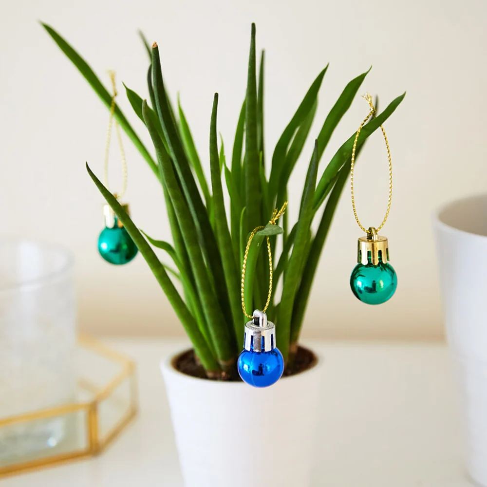 Décorations de Noël pour les plantes d'intérieur