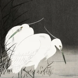 Deux aigrettes dans les roseaux, Ohara Koson