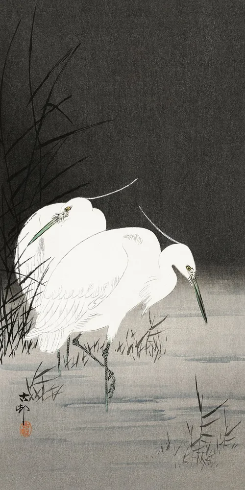 Deux aigrettes dans les roseaux, Ohara Koson