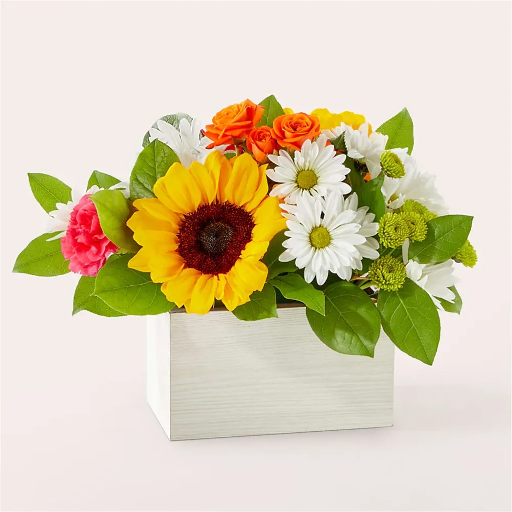 Bouquet de fleurs baignées de soleil Standard Deux Gars Des Fleurs