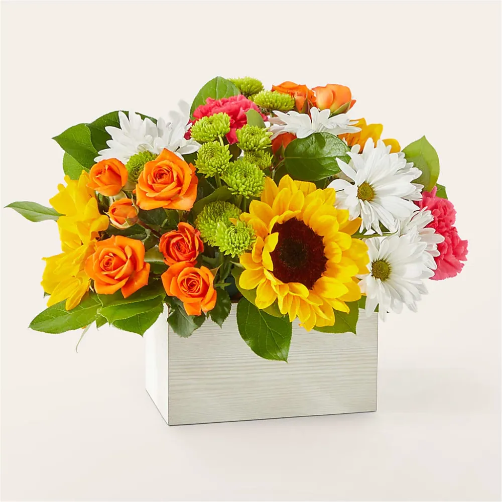 Bouquet de fleurs baignées de soleil Standard Deux Gars Des Fleurs
