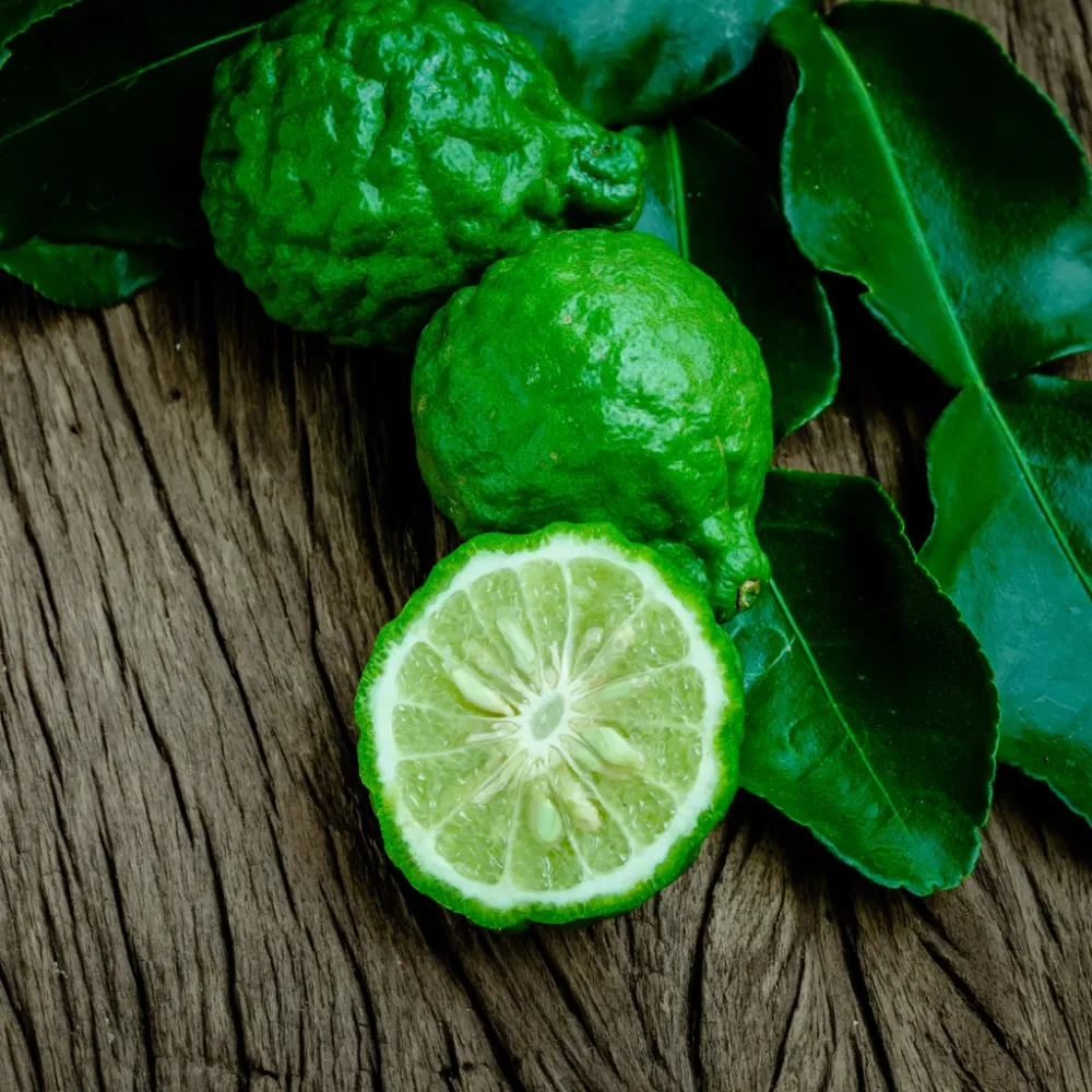Calabrian Bergamot et chaux juteuse Eco Candle Project