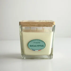 Eucalyptus - Bougie parfumée 700g