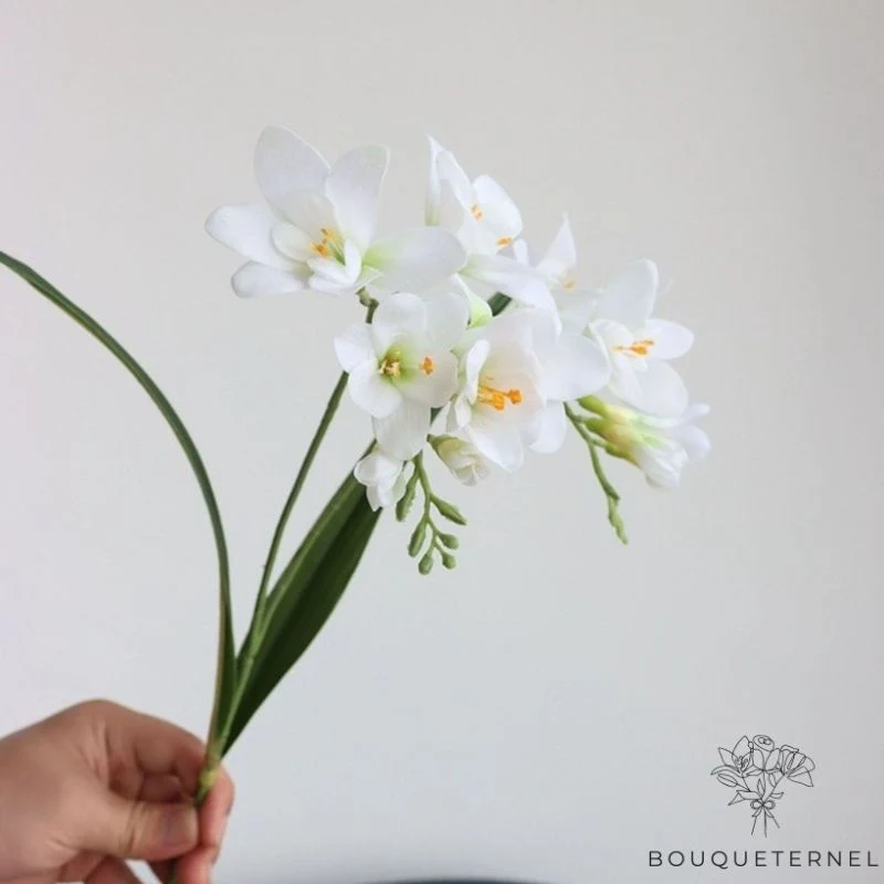 Fausse Fleur Blanche