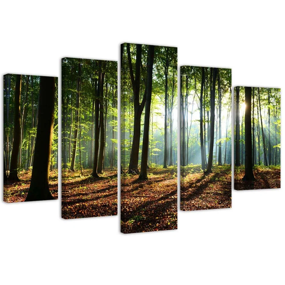 Impression sur toile en cinq parties, Rayons de soleil dans la êt 100x70 Feeby