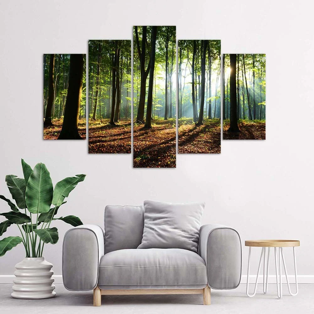 Impression sur toile en cinq parties, Rayons de soleil dans la êt 100x70 Feeby