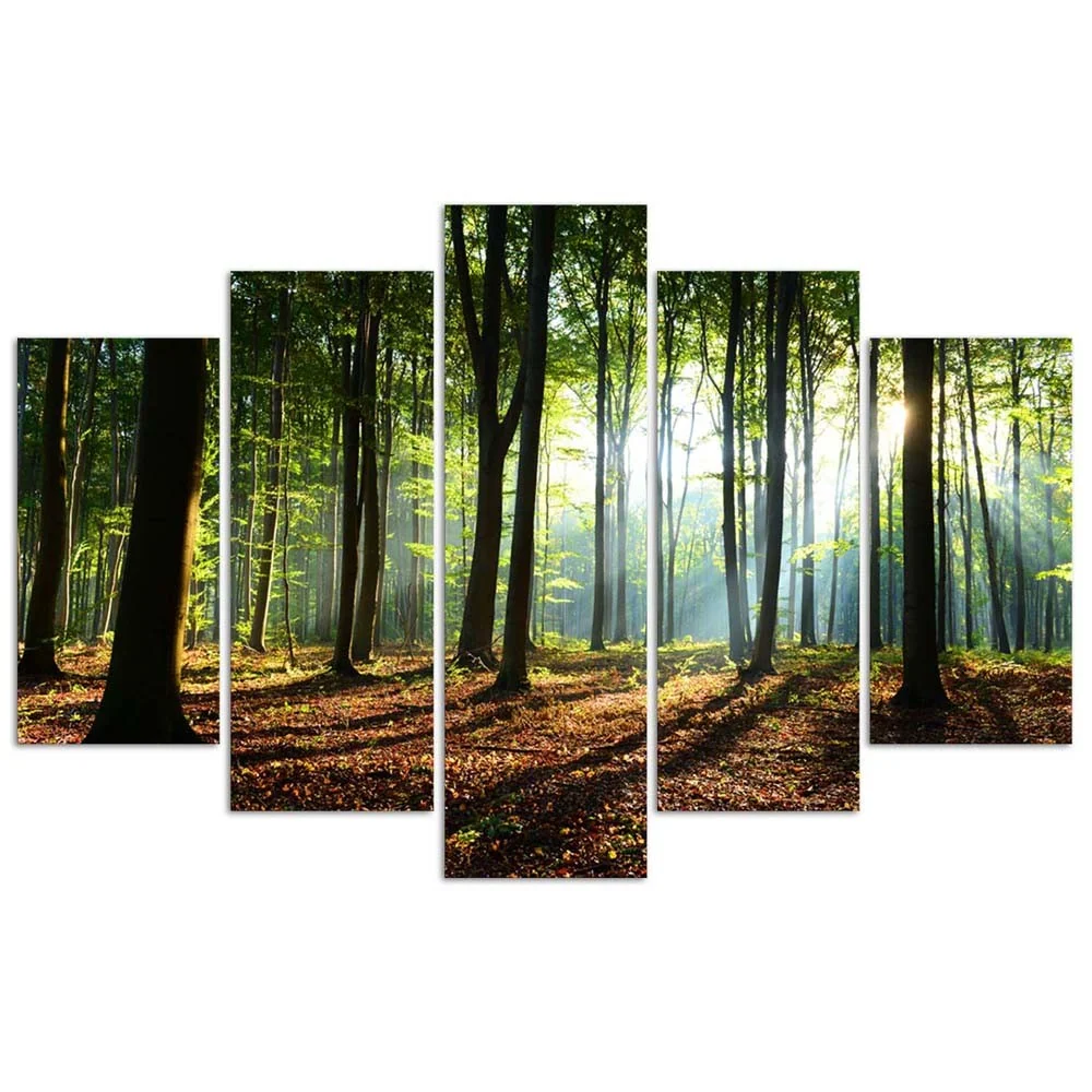 Impression sur toile en cinq parties, Rayons de soleil dans la êt 100x70 Feeby