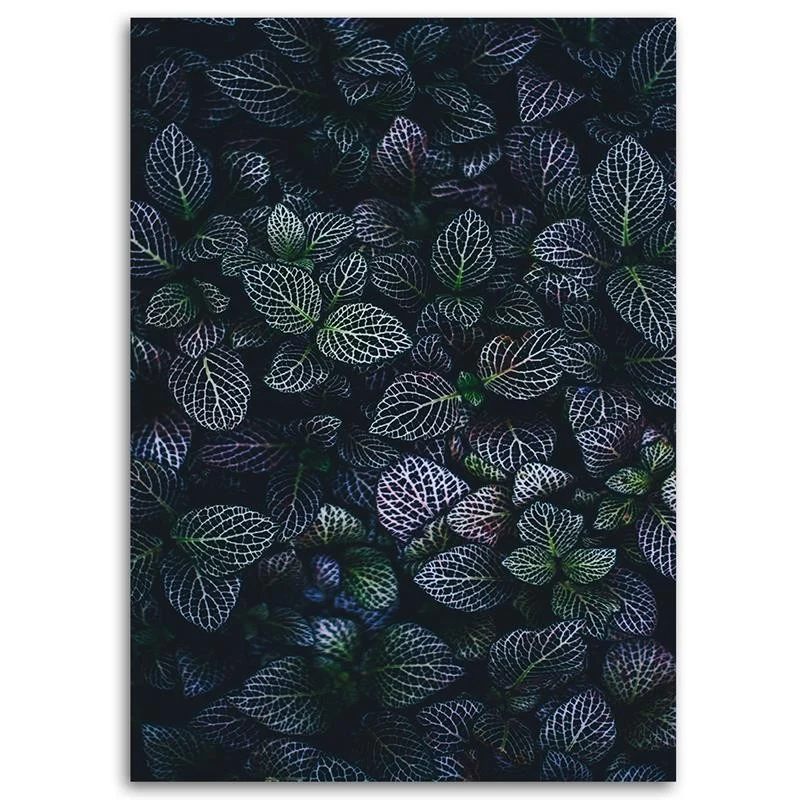 Impression sur toile, Feuilles d'hiver 40x60 Feeby