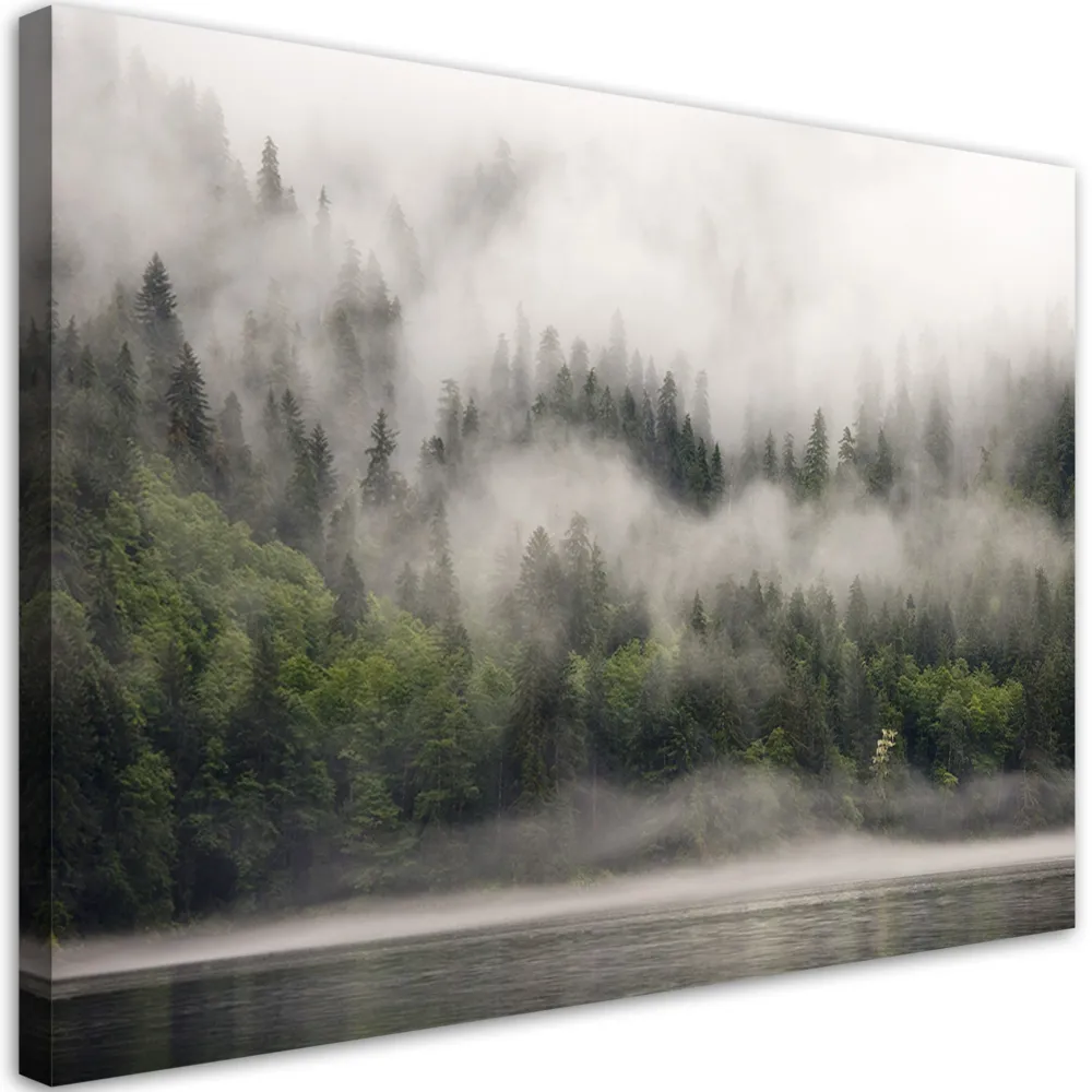Impression sur toile, êt dans le brouillard 60x40 Feeby
