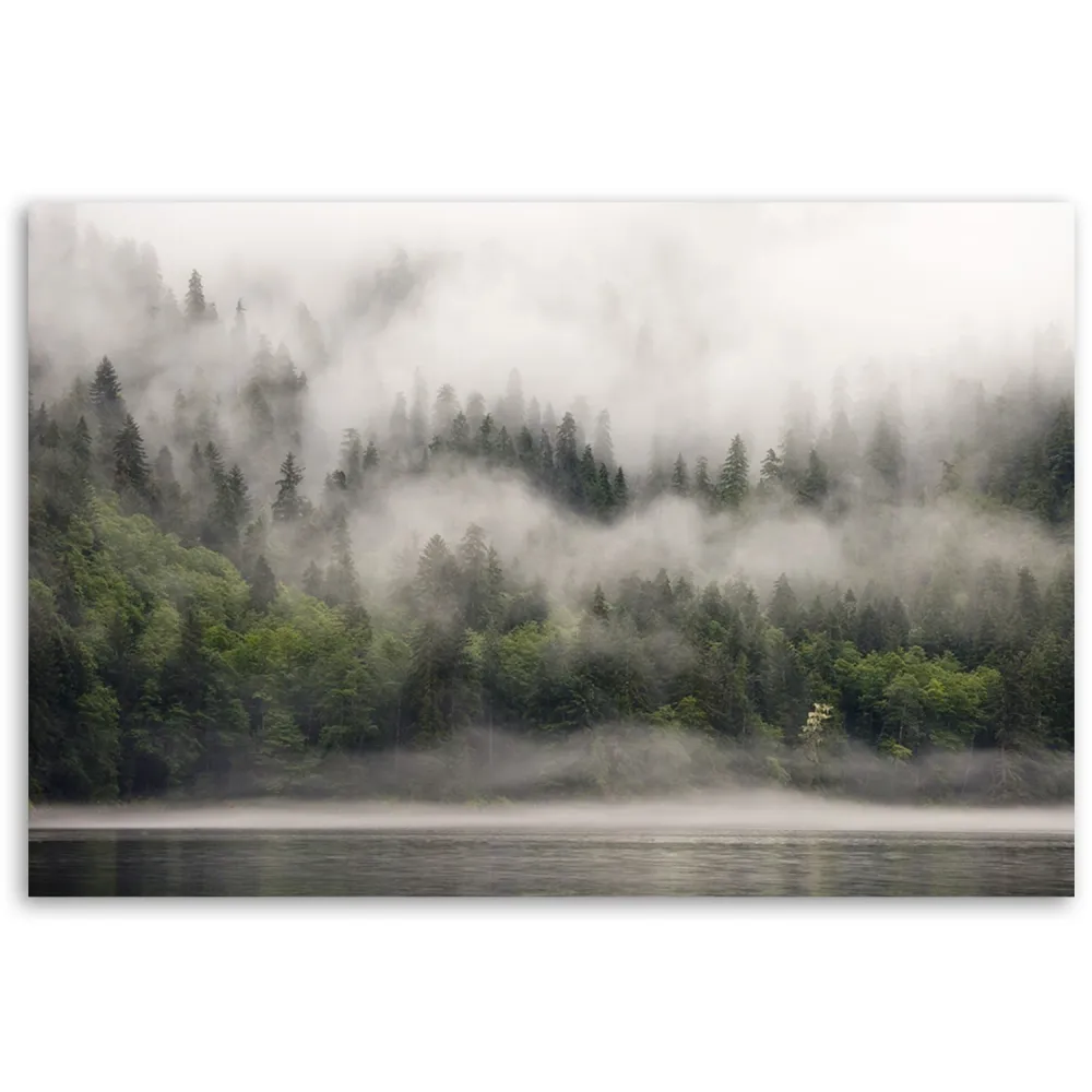 Impression sur toile, êt dans le brouillard 60x40 Feeby