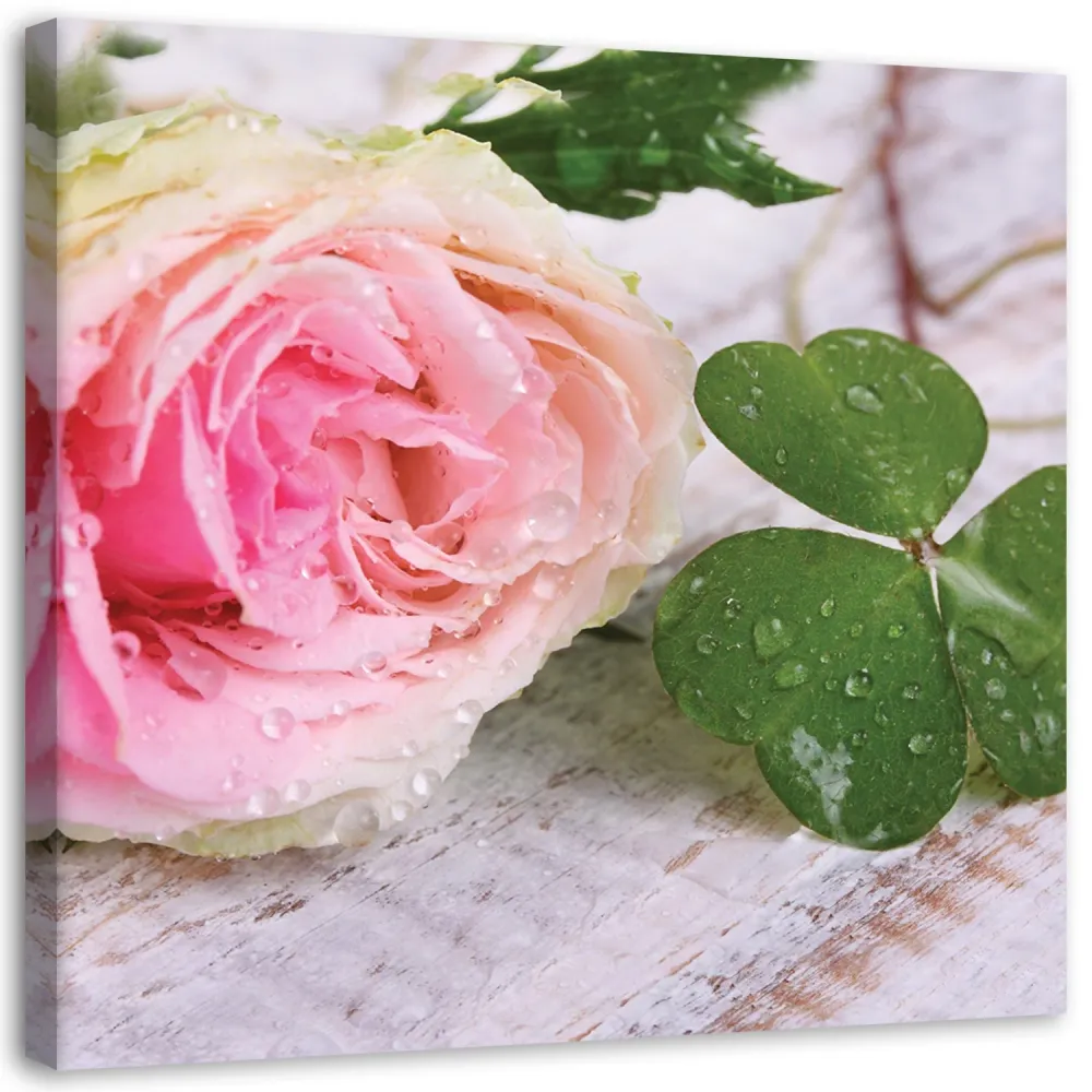 Impression sur toile, Rose et trèfle 40x40 Feeby