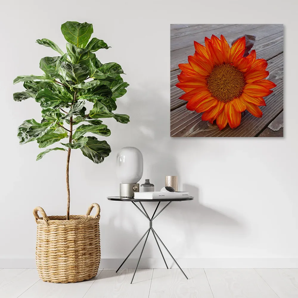 Impression sur toile, tournesol orange 30x30 Feeby