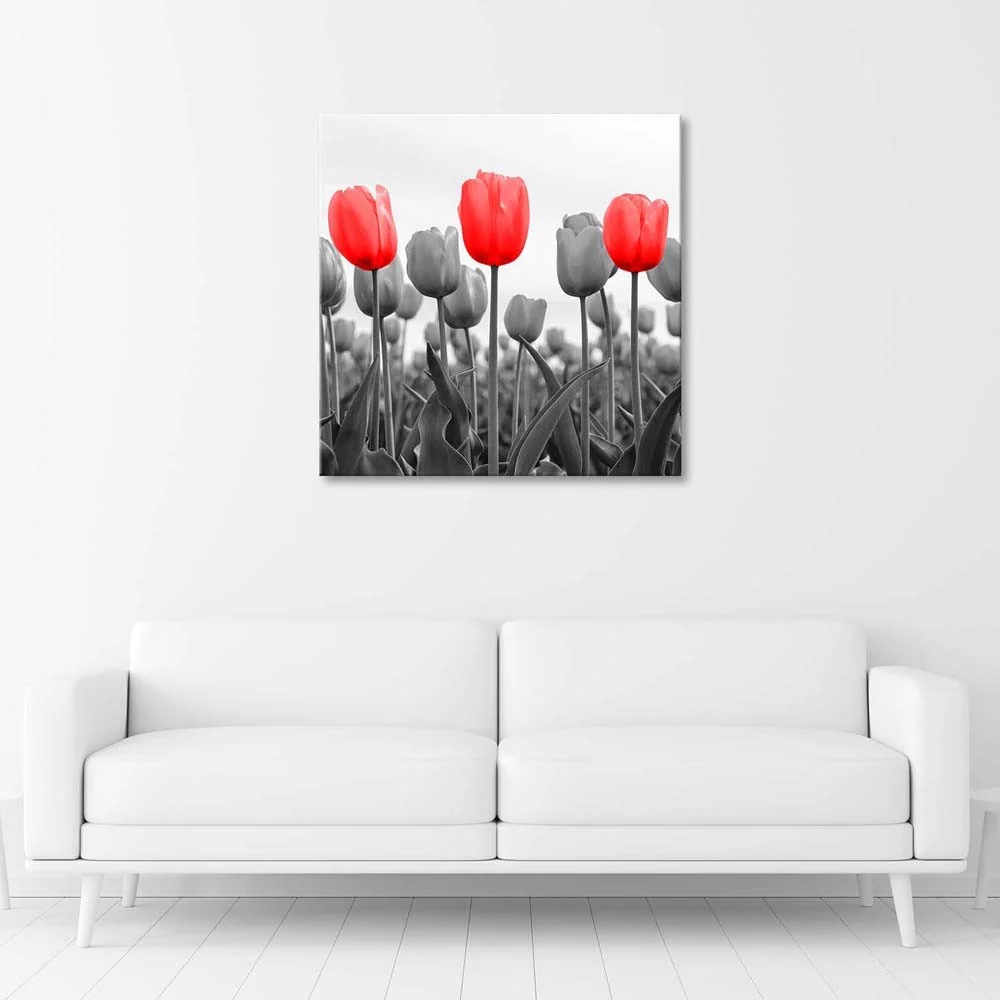 Impression sur toile, Tulipes rouges dans une prairie 40x40 Feeby