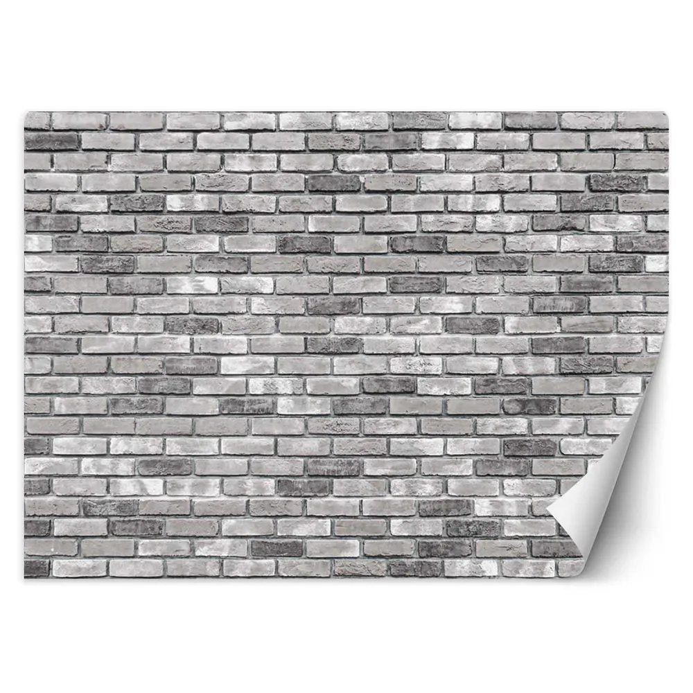 Papier peint, mur de briques grises 100x70 Feeby
