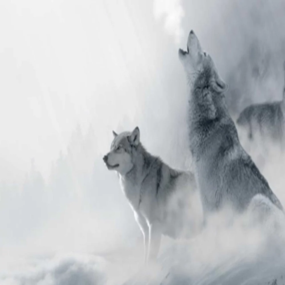 Paravent double face, animaux en hiver Feeby