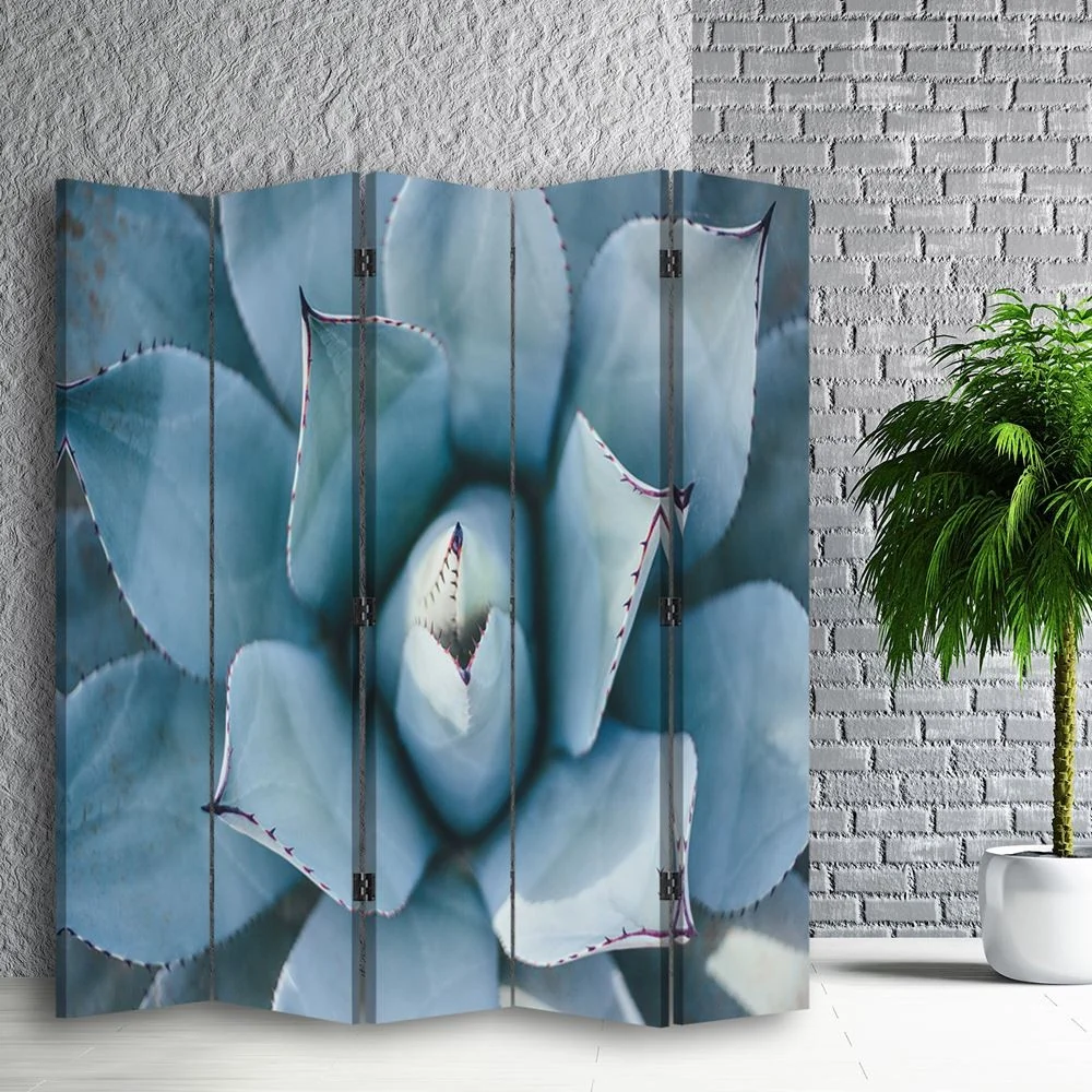 Paravent double face, motif agave vu du dessus Feeby