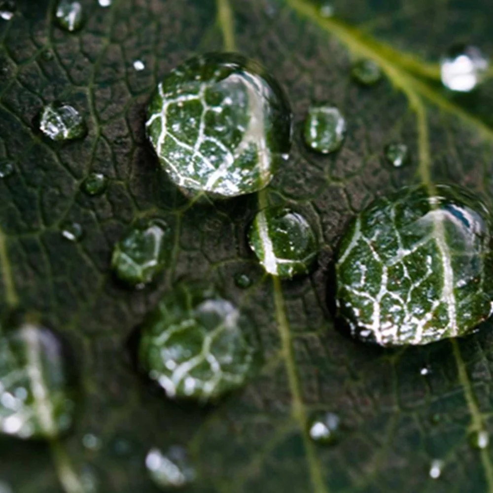 Paravent double face, motif gouttes de pluie sur une feuille Feeby