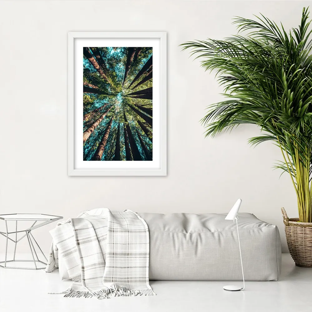 Photo encadrée de blanc, les branches de grands arbres 20x30 Feeby