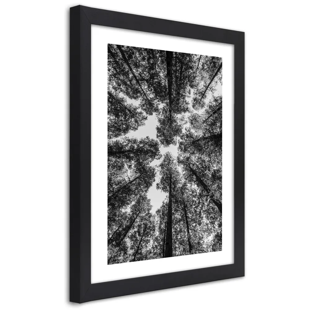 Photo encadrée en noir, cimes d'arbres 20x30 Feeby