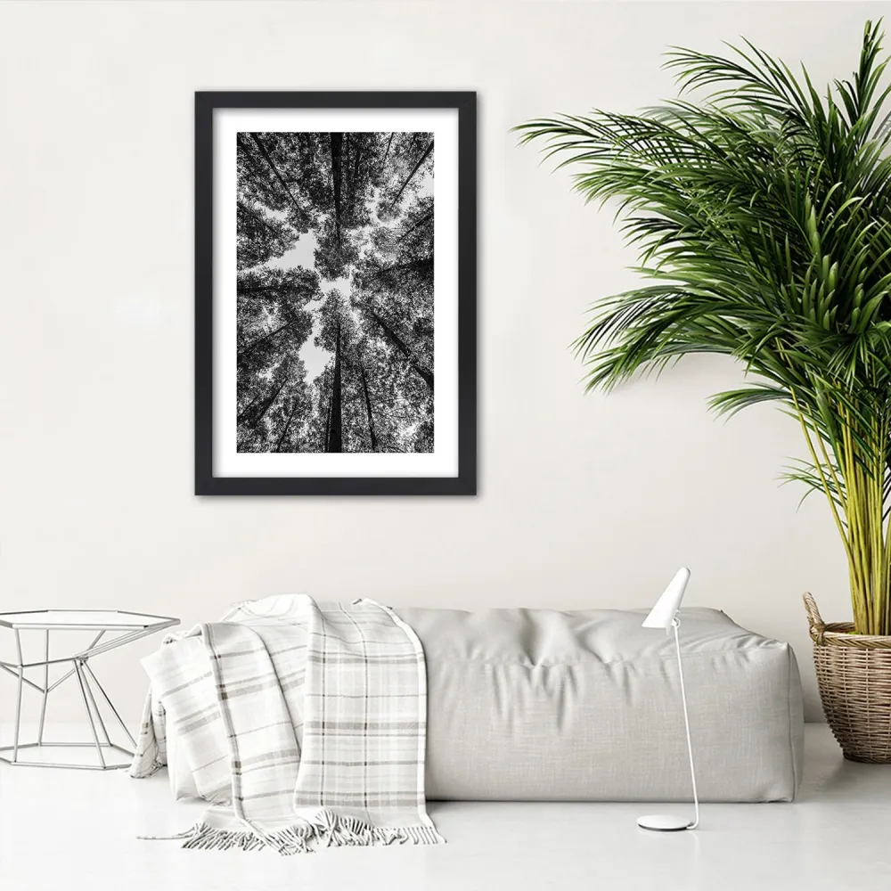 Photo encadrée en noir, cimes d'arbres 20x30 Feeby