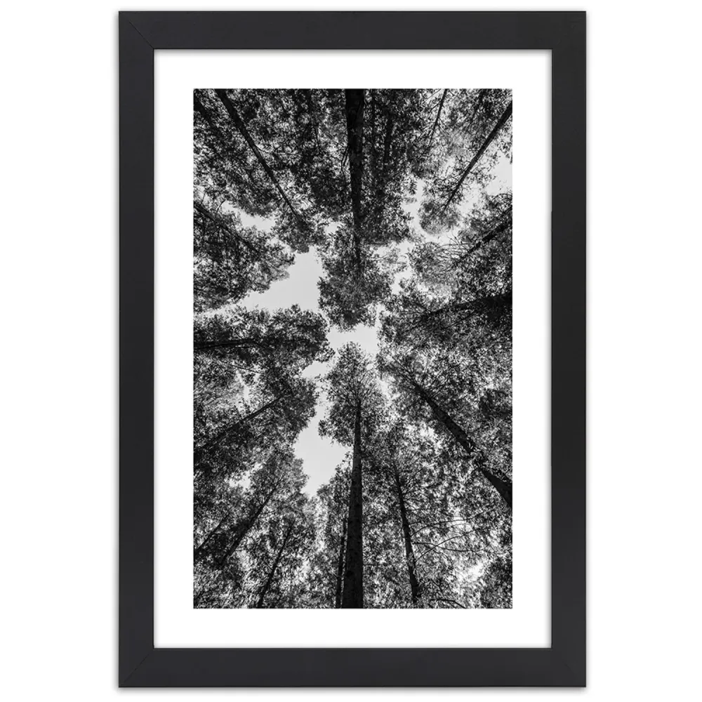 Photo encadrée en noir, cimes d'arbres 20x30 Feeby