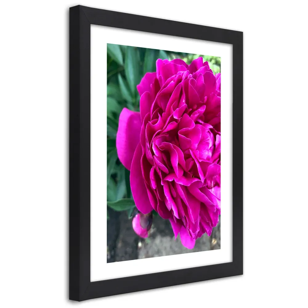 Photo encadrée en noir, grande fleur rose 20x30 Feeby