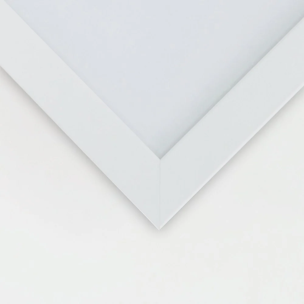 Tableau sous cadre blanc, êt en cercle 20x30 Feeby