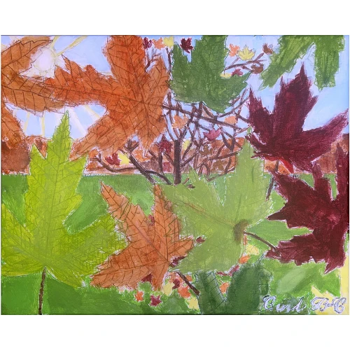 Feuilles d'érable