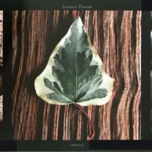 Feuilles - Feuilles colorées (impression d'art)