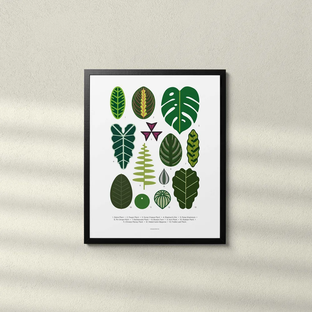 FEUILLES DE PLANTES D'INTÉRIEUR - Affiche Feuilles de plantes d'intérieur 40x50 cm | Impression éternelle