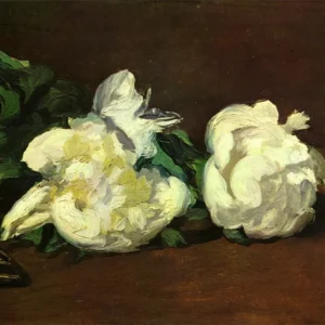 Pivoines blanches avec des ciseaux (Edouard Manet) Fine Artic