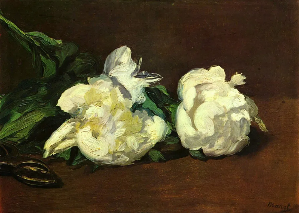 Pivoines blanches avec des ciseaux (Edouard Manet) Fine Artic