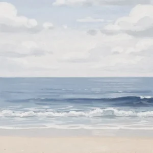 Le rivage de la plage douce Fine Artic